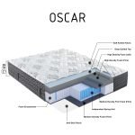 OSCAR-05.jpg