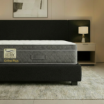 Ruby ortho plus second